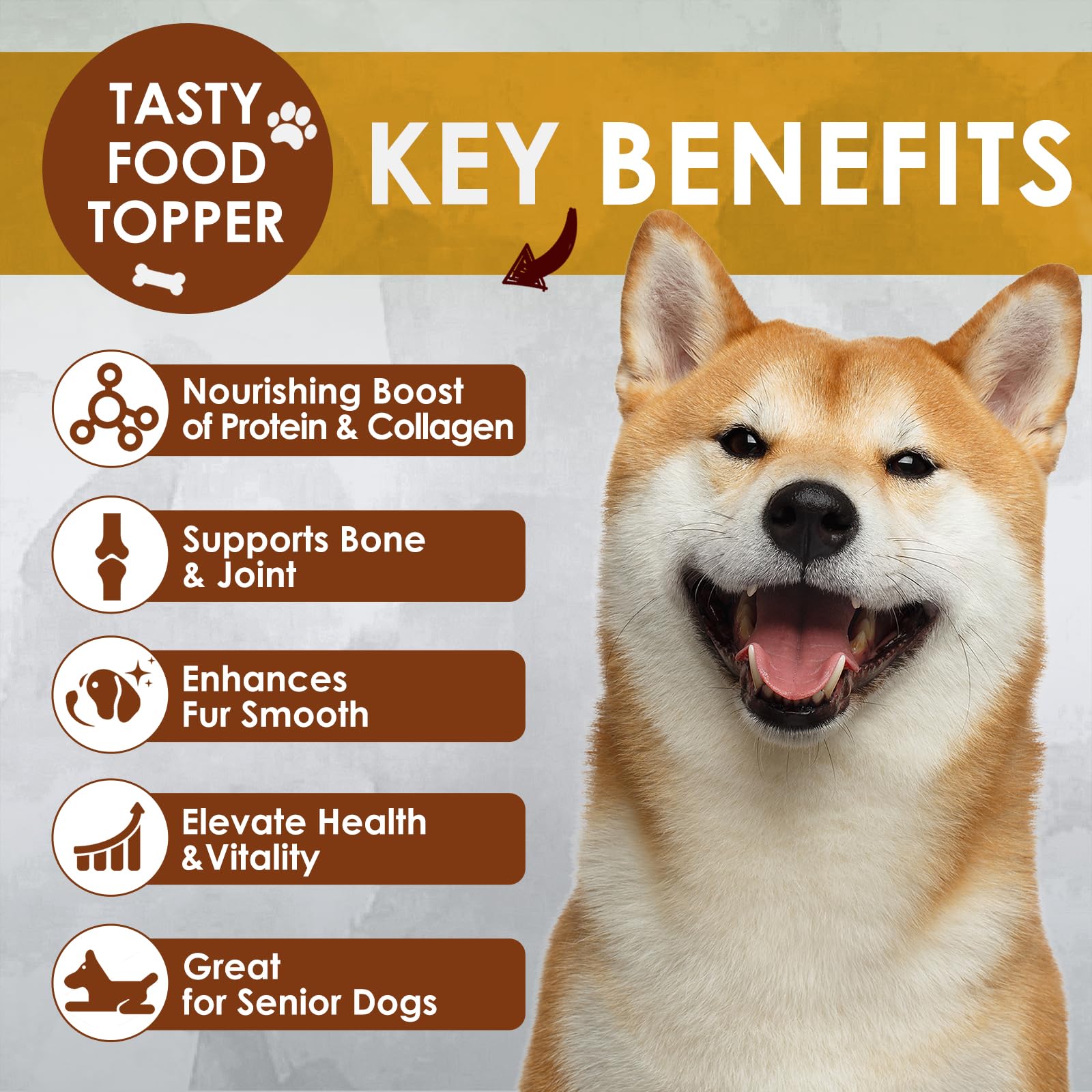 Zammex bone broth powder being mixed into pet meals