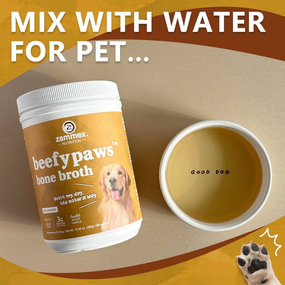 Senior dog benefits from joint-supportive Zammex broth topper