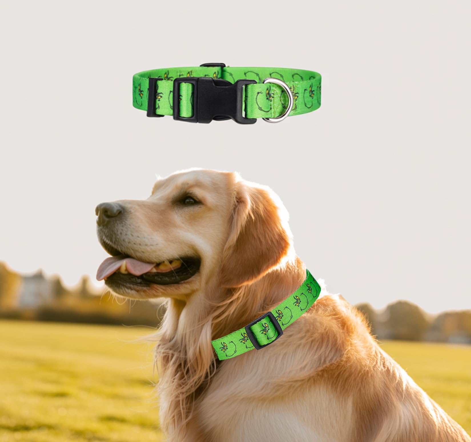 ZamouK adjustable collar ensures comfortable fit as dogs grow