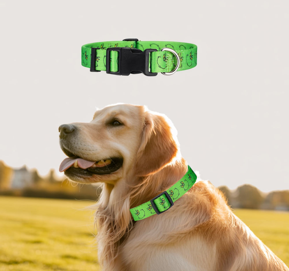 ZamouK adjustable collar ensures comfortable fit as dogs grow