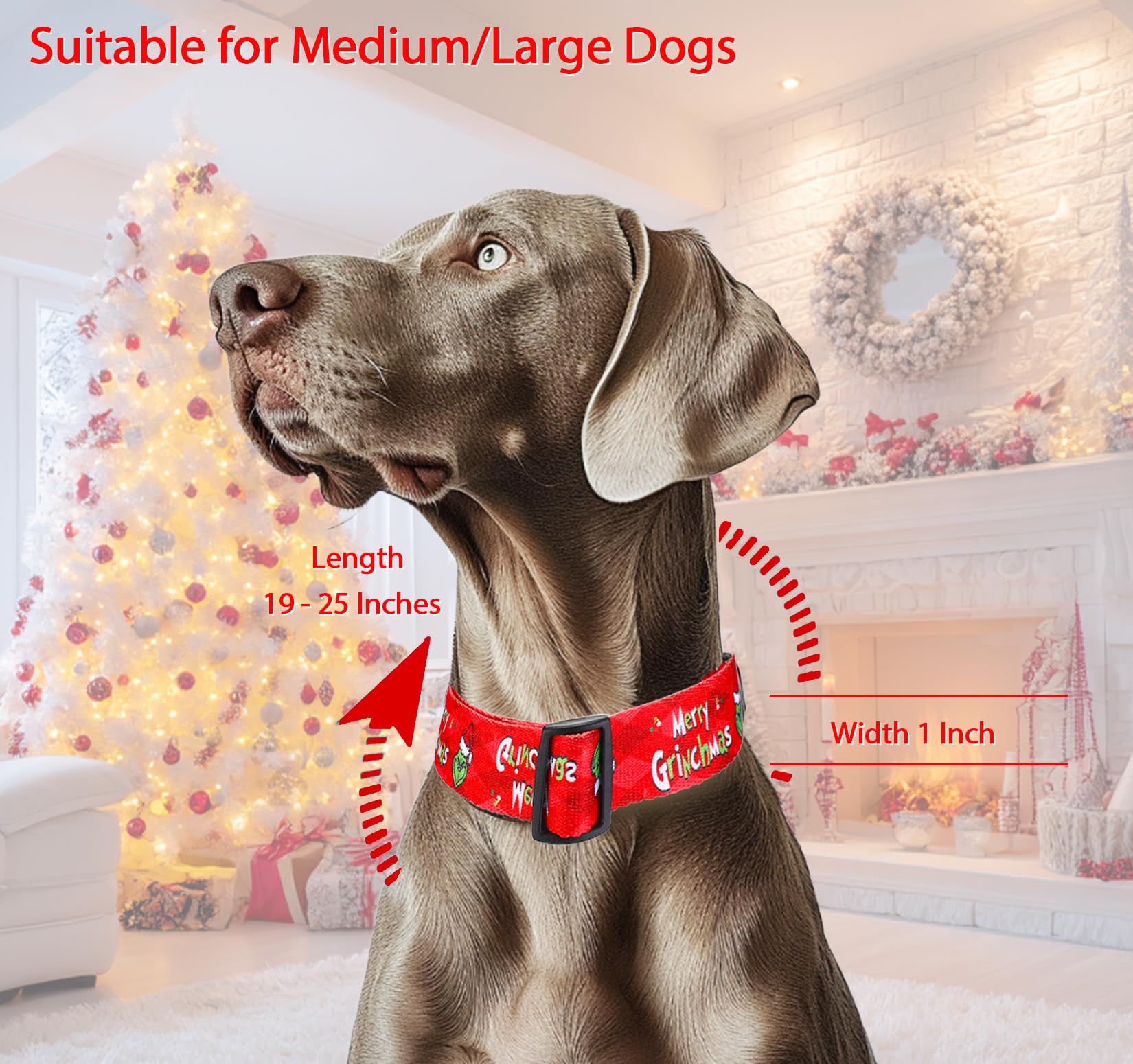 ZamouK Christmas dog collar buckle closeup shows secure fit.