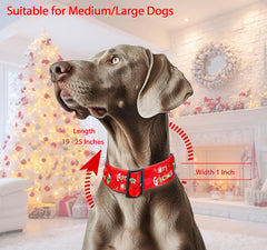 ZamouK Christmas dog collar buckle closeup shows secure fit.