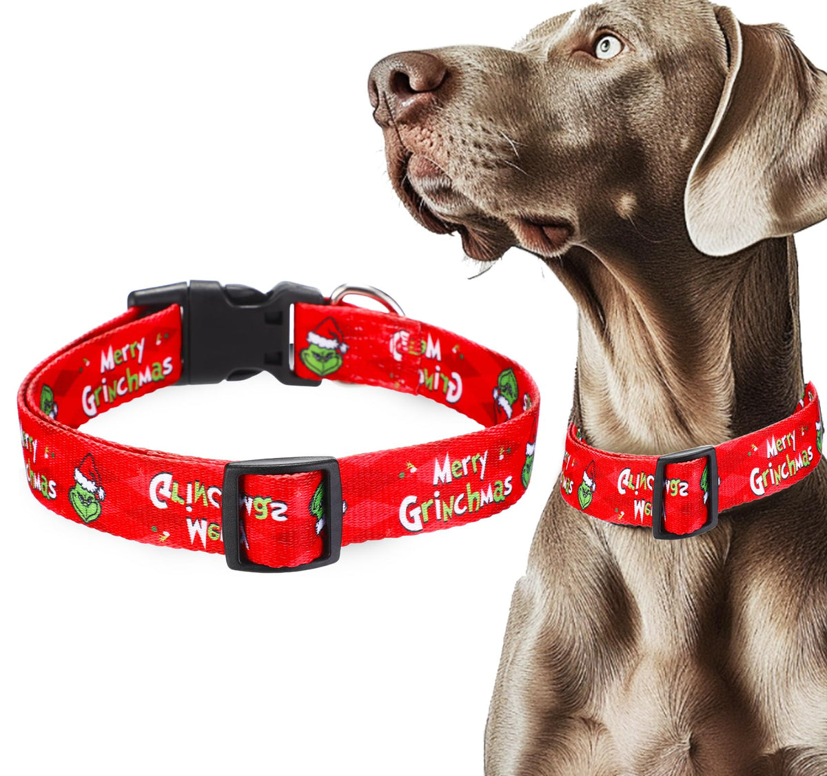 ZamouK Christmas dog collar red webbing for festive style and durability.