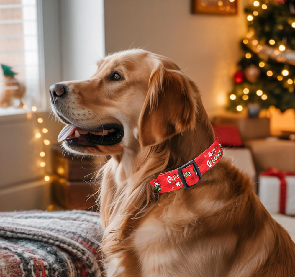 ZamouK Christmas dog collar soft webbing for lightweight comfort.