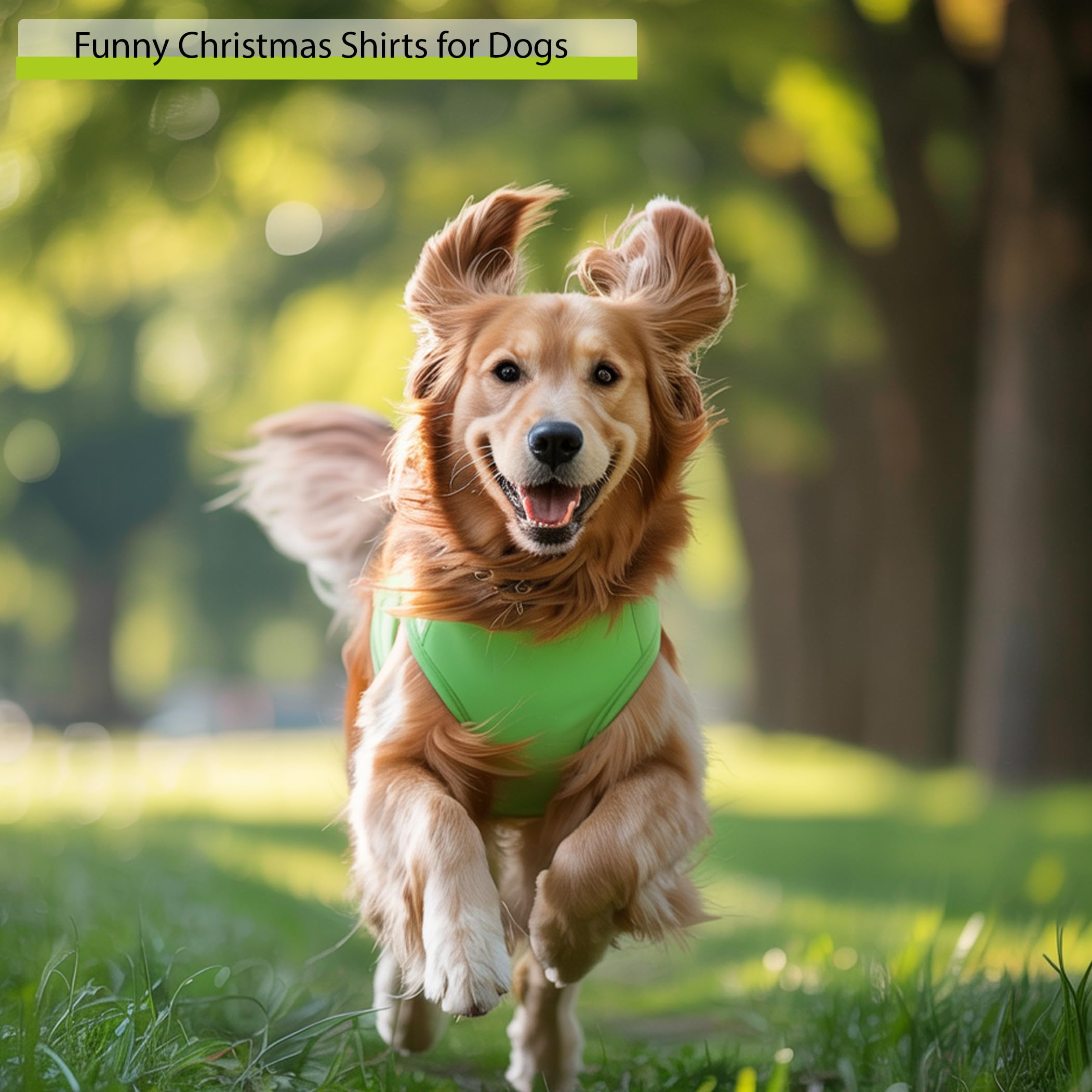 ZamouK Dog Christmas Outfit XL on-dog view shows easy wear
