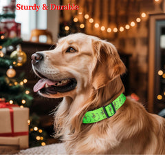 ZamouK heavy-duty green webbing emphasizes durability for active dogs