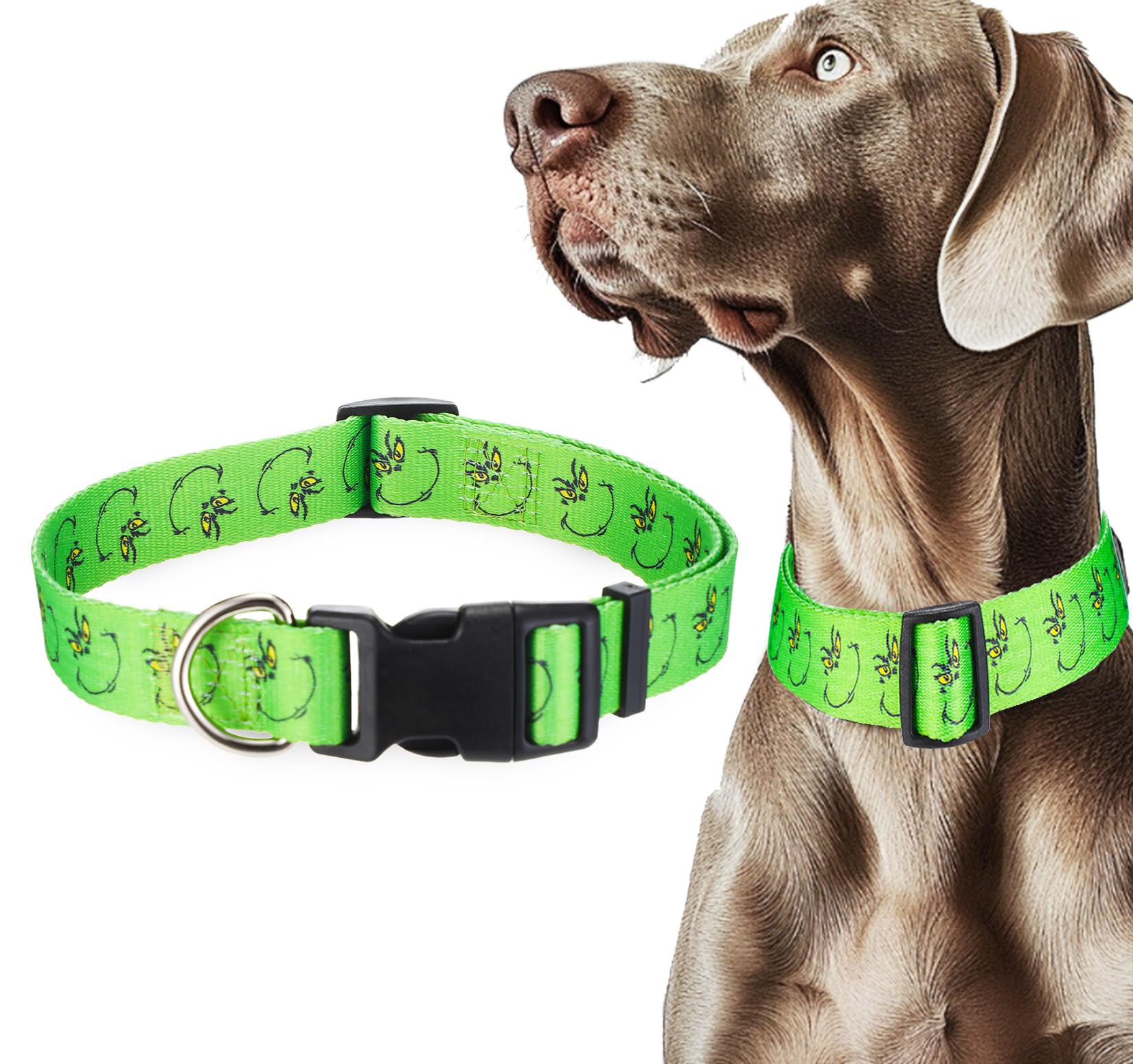 ZamouK machine-washable collar for easy cleaning after adventures