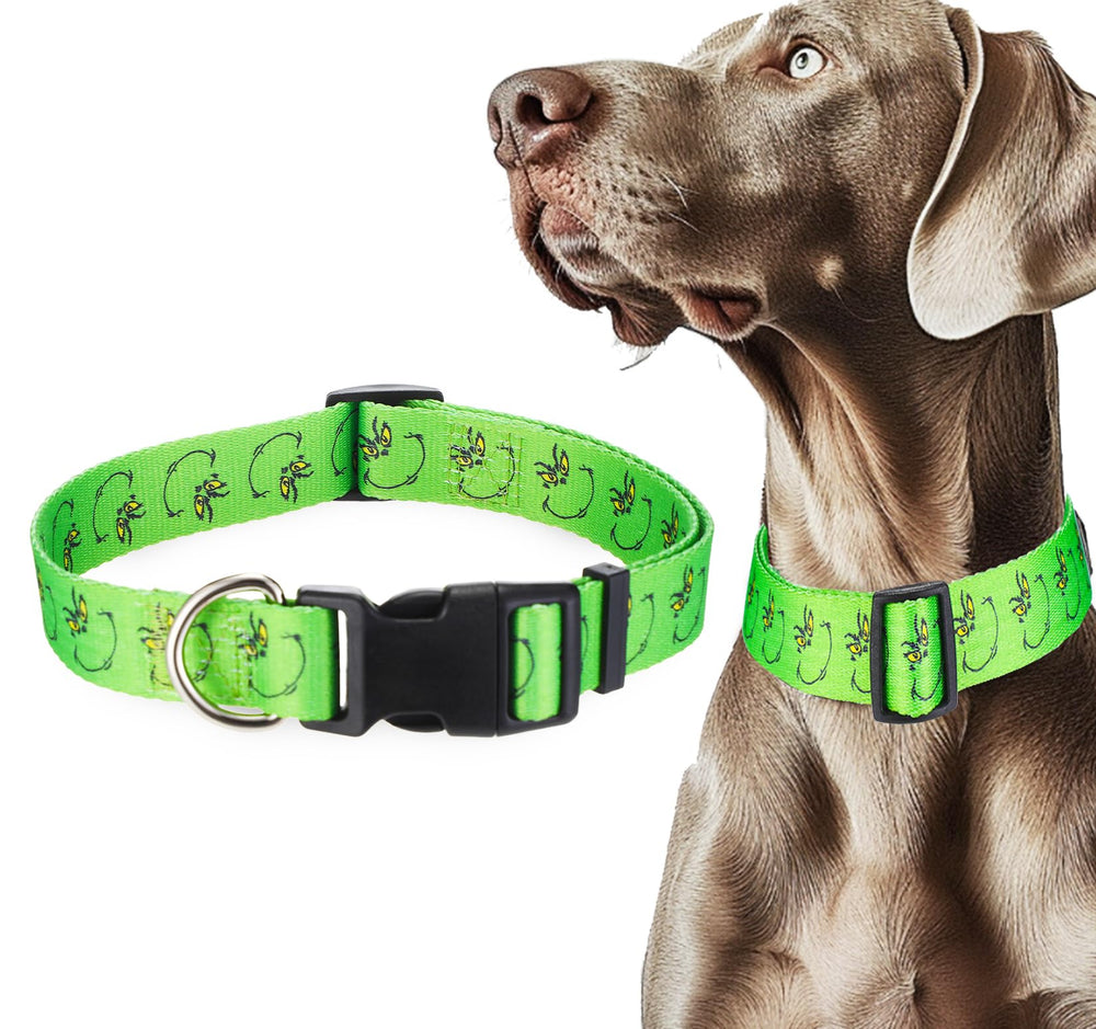 ZamouK machine-washable collar for easy cleaning after adventures