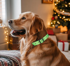 ZamouK stitching detail highlights near-invisible seams for safety-conscious owners