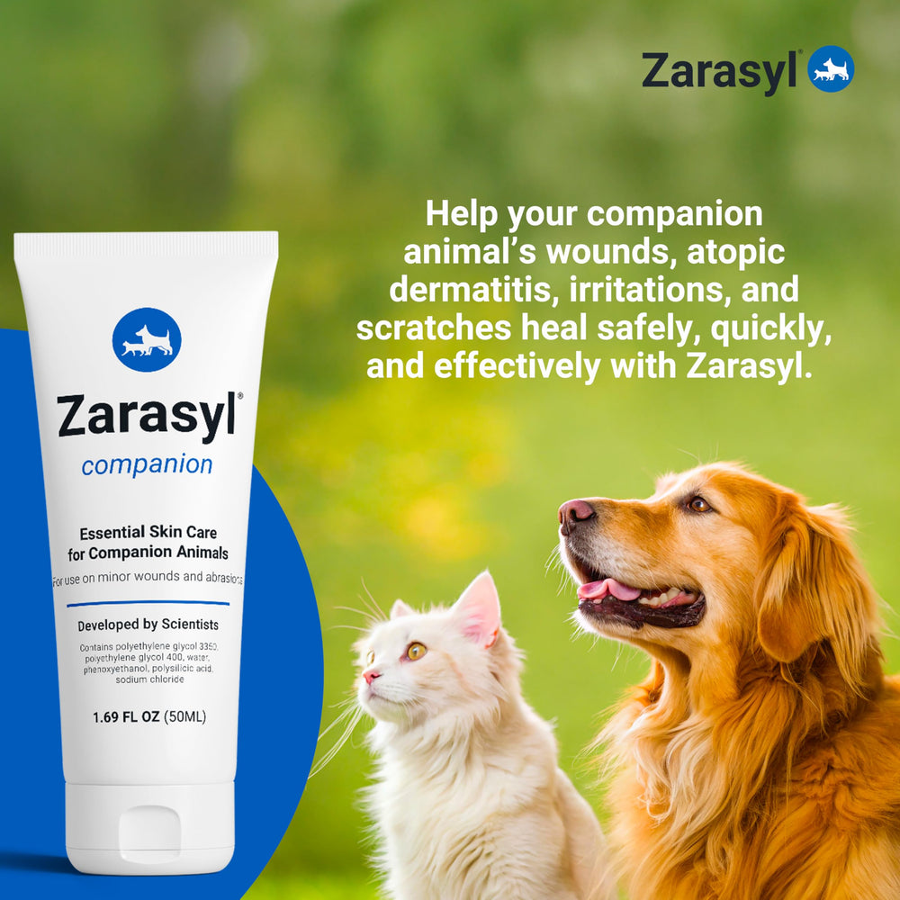 Zarasyl owner applying ointment to pet with care