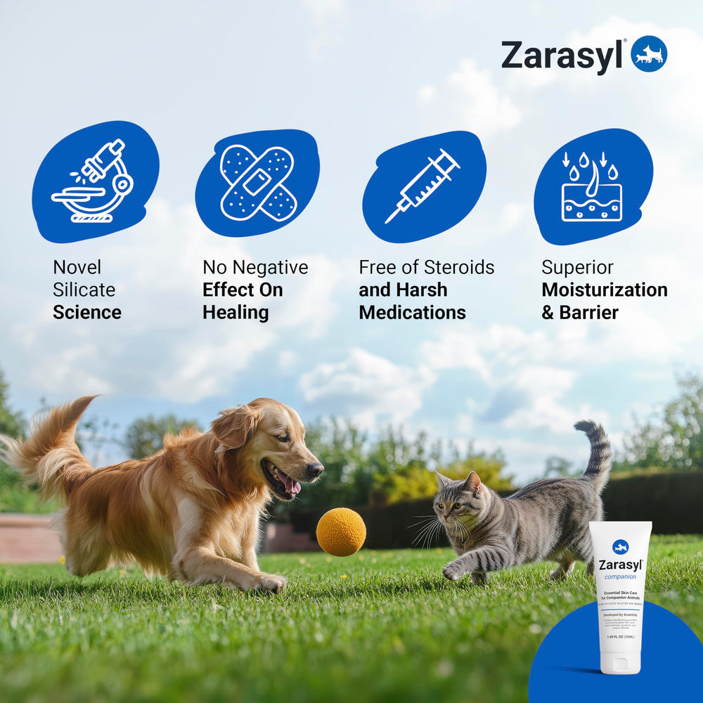 Zarasyl silica compound wound care graphic highlighting proprietary amorphous silica benefits