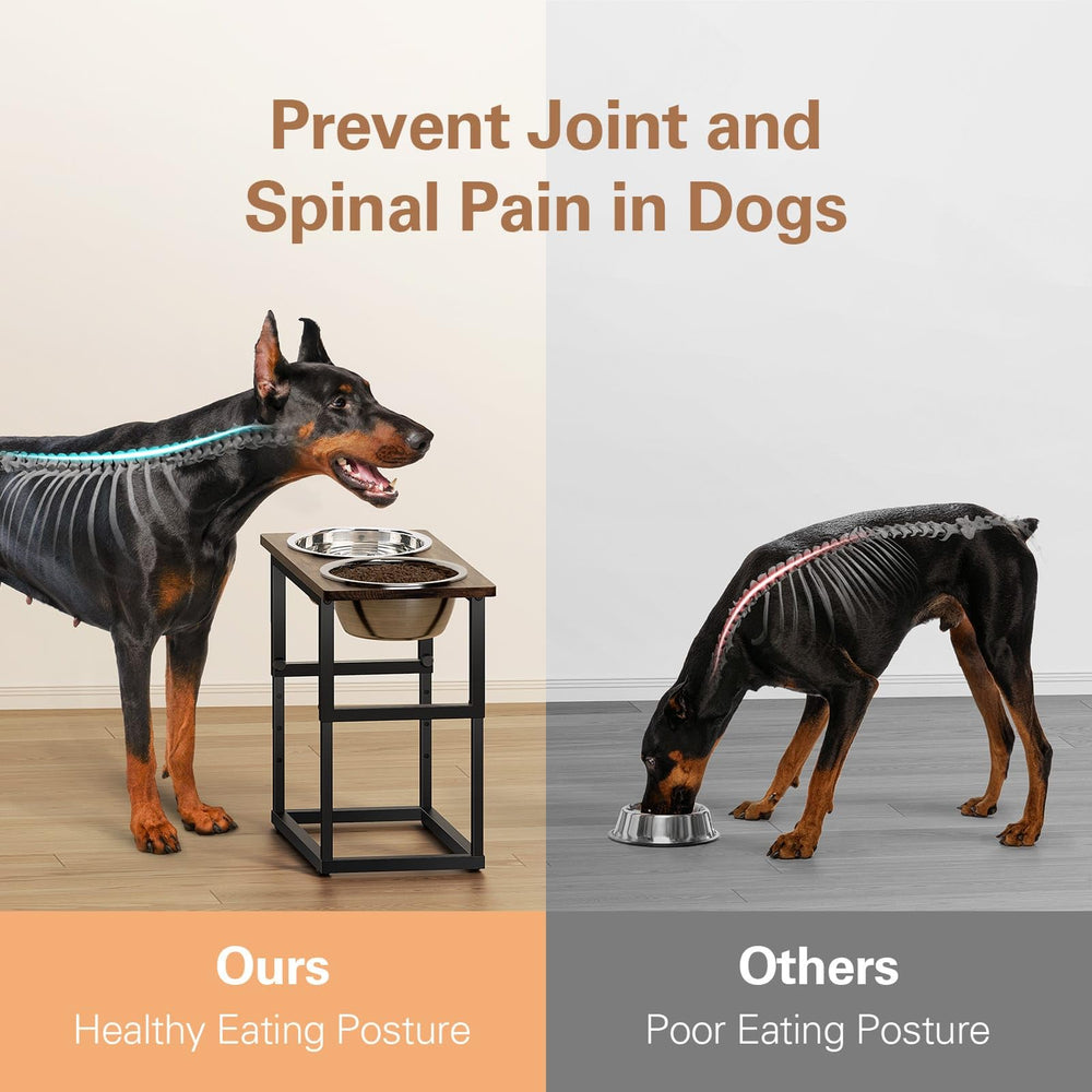 Zarler elevated dog bowls at 13.7 inch height reduce neck strain for big dogs.