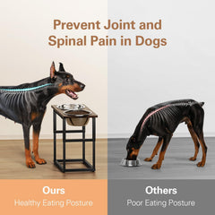 Zarler elevated dog bowls at 13.7 inch height reduce neck strain for big dogs.