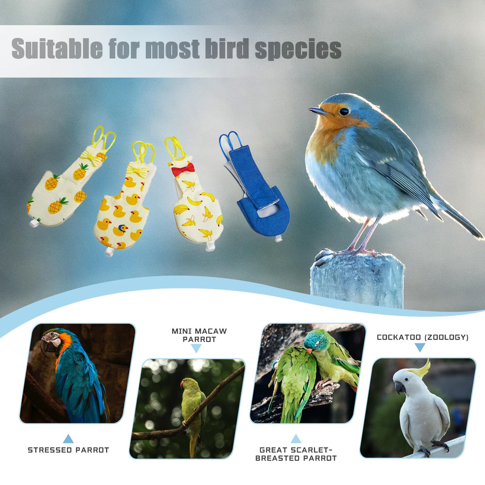 Zaruatu wide-application image demonstrates compatibility with parrots and other similar-bodied pets.