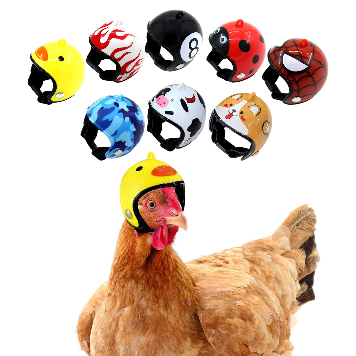 Zaruatu chicken helmet adjustable-fit demonstrates secure, comfortable wear for small pets