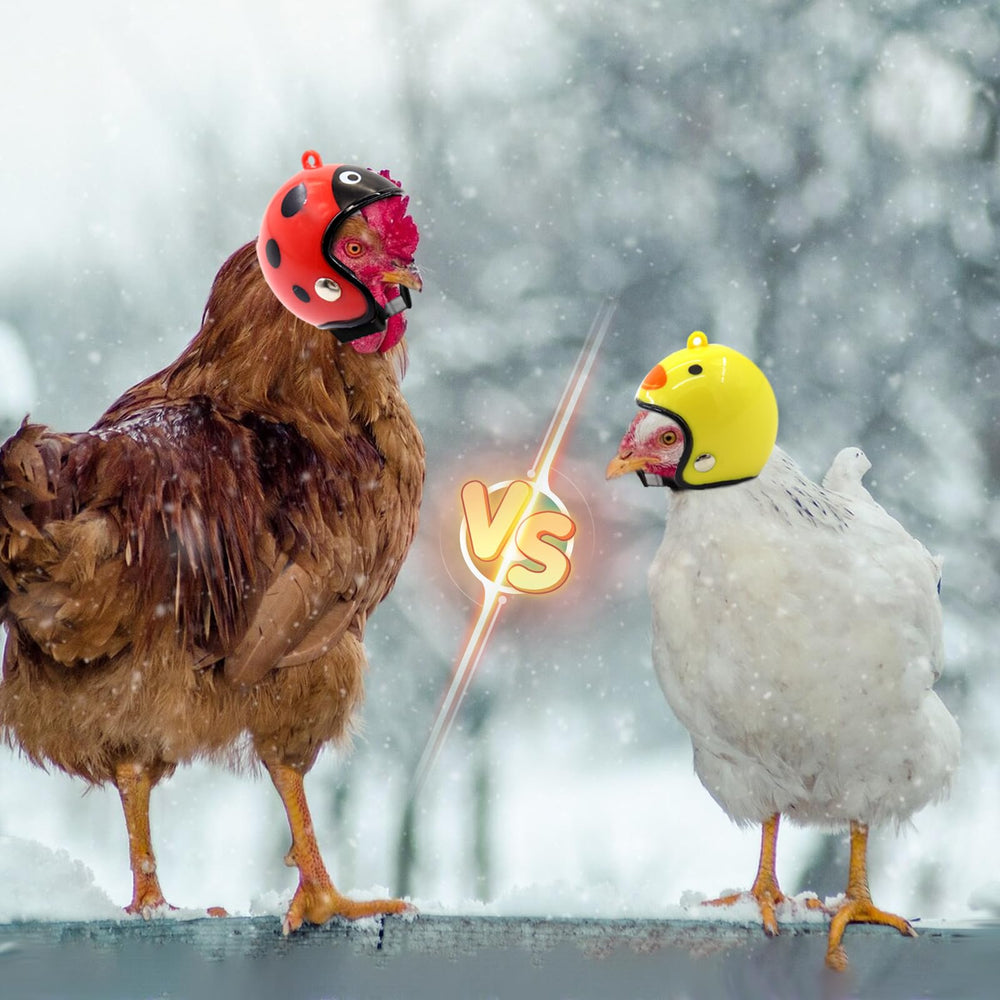 Zaruatu chicken helmet eight-styles-pack offers versatile looks for occasions