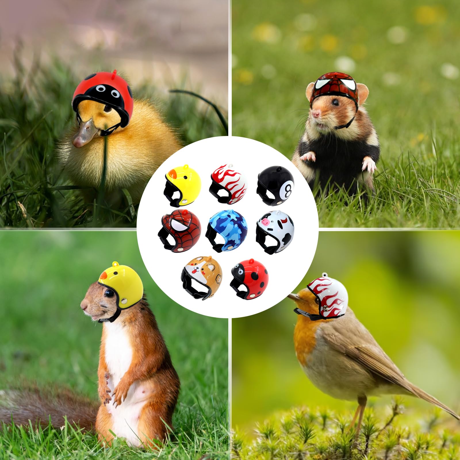 Zaruatu chicken helmet pet-identification-help helps quick recognition among small pets