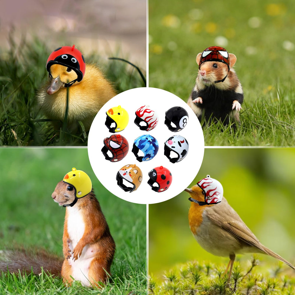 Zaruatu chicken helmet pet-identification-help helps quick recognition among small pets