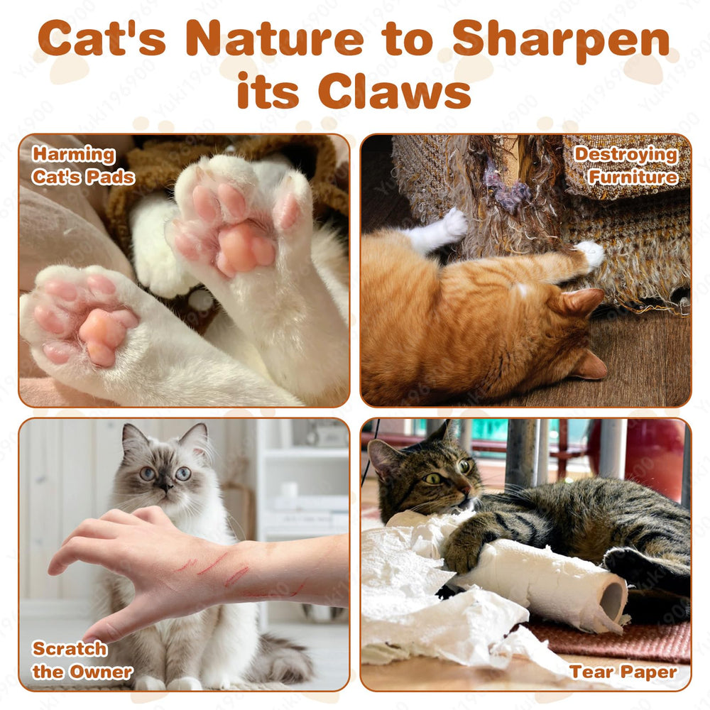 ZAULEY Foldable Cat Toy for easy storage and travel-ready setup