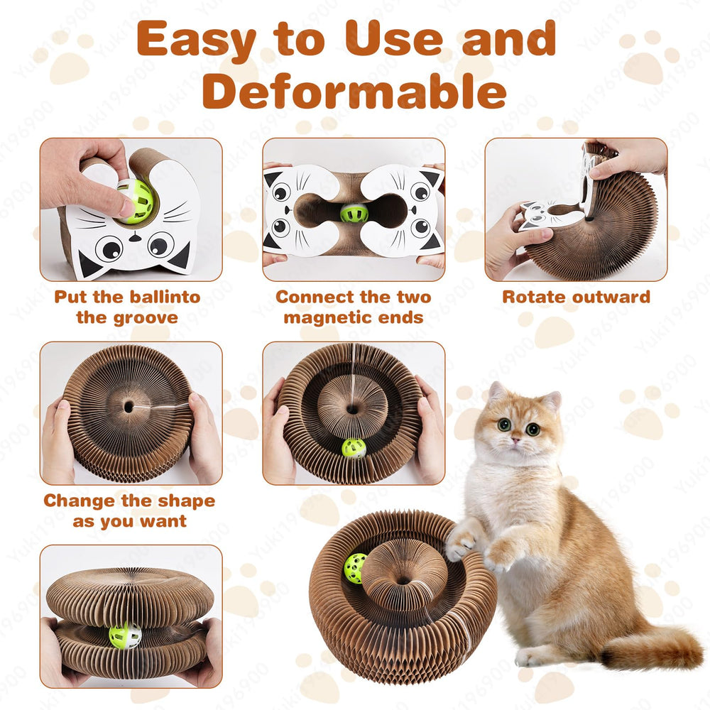 ZAULEY Indoor Cat Toy Track and Ball engages cats in chasing and scratching