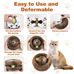 ZAULEY Indoor Cat Toy Track and Ball engages cats in chasing and scratching