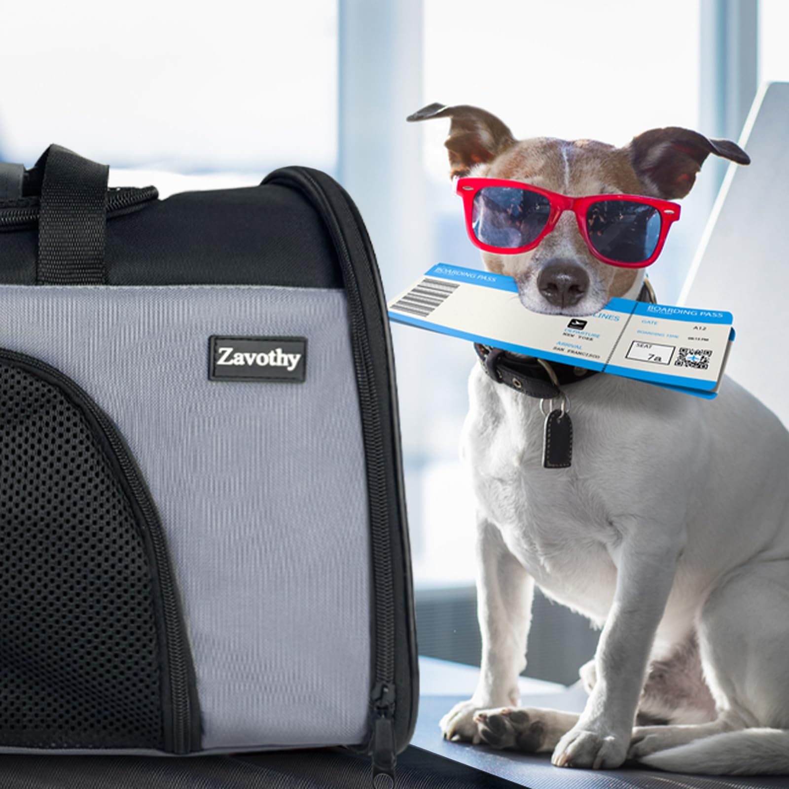 Zavothy airline-friendly carrier fits cabin guidelines for convenient travel.