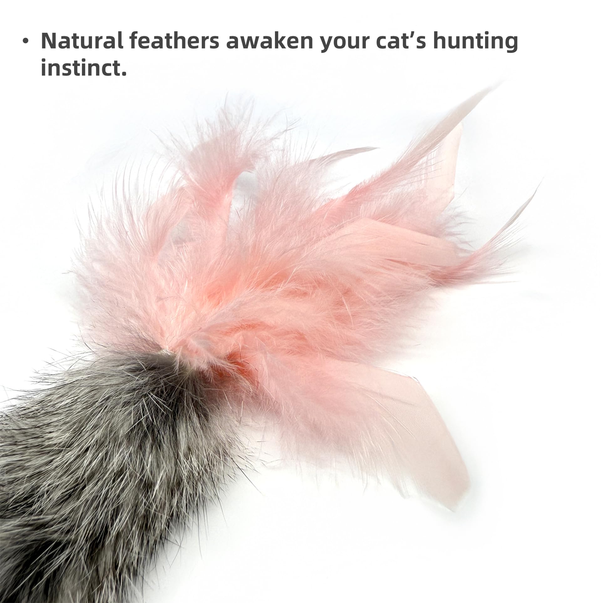 ZAYLUMO carrot toy feathers closeup shows fluttering feathers for hunting-like fun