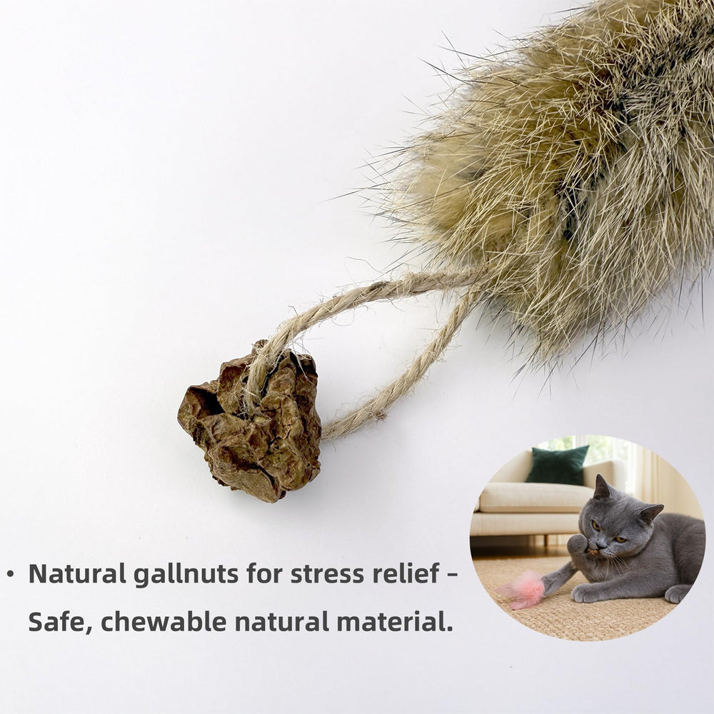 ZAYLUMO gall fruit nutgall closeup illustrating enrichment texture