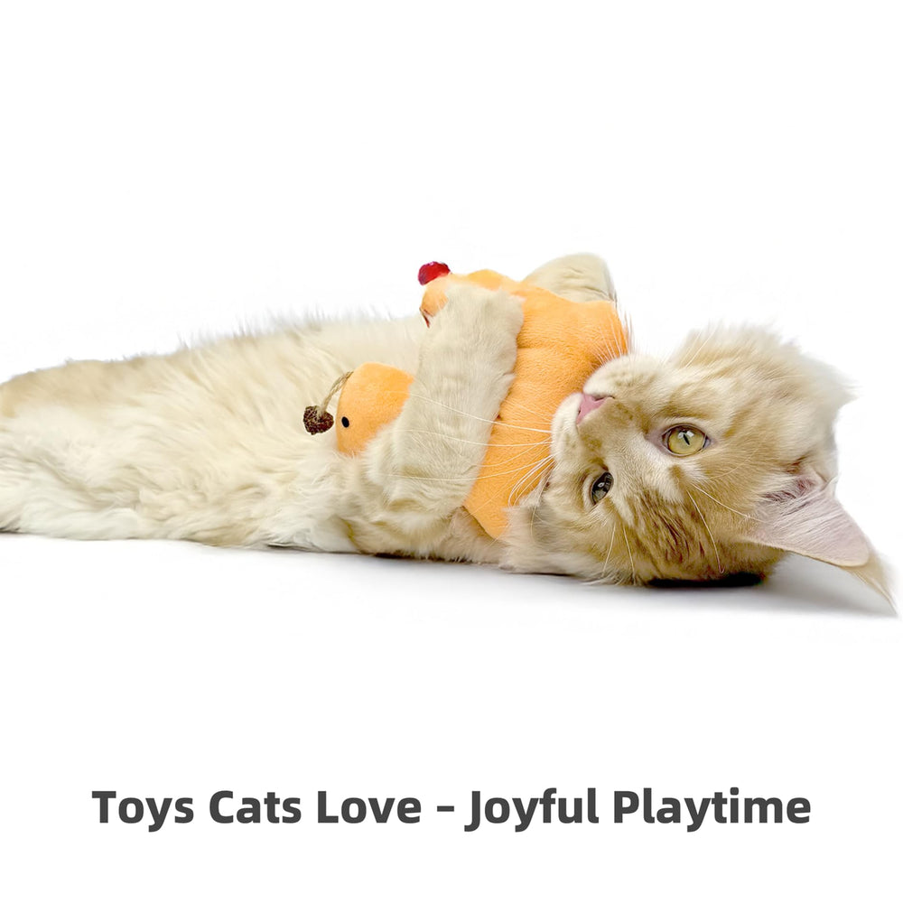ZAYLUMO indoor cat enjoying kick-and-chew session with the 3-pack kit