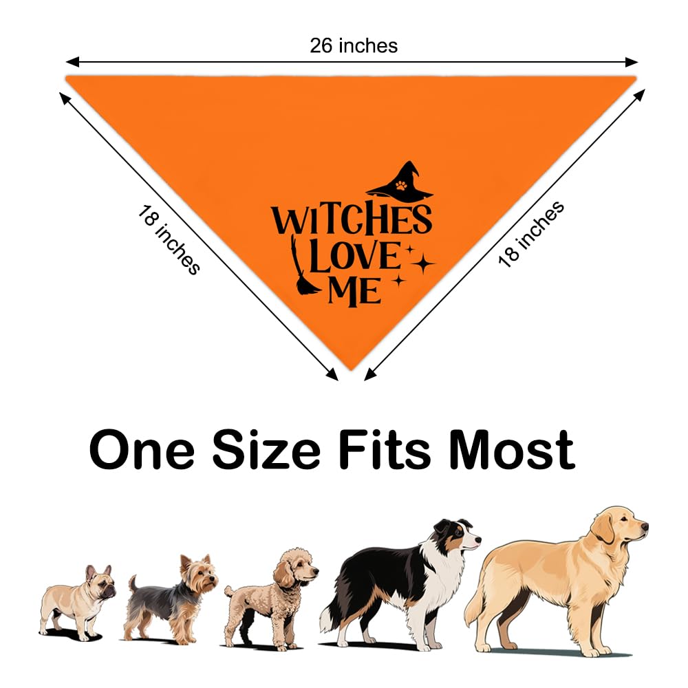 ZBBFSCSB Witches Love Me Orange Bandana on dog portrait highlighting soft breathable fabric