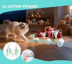 ZeLing HTL catnip feather combo delivers delightful pounce and interactive moments.