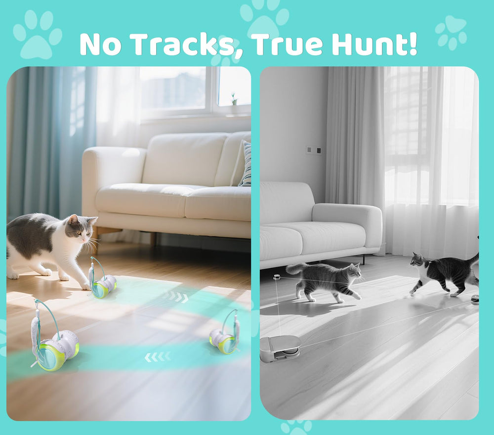 ZeLing HTL cat toy remote control in action invites shared playtime with your cat.