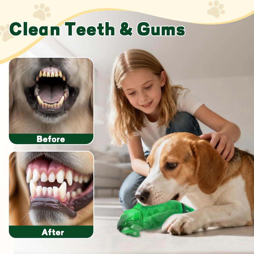 ZeLing HTL dental-friendly chew aids gum massage and plaque removal