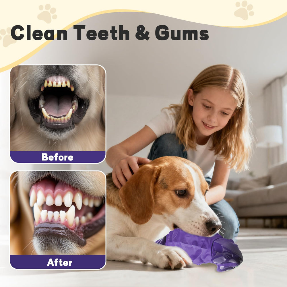 ZeLing HTL fortified squeaker toy signals lasting engagement.