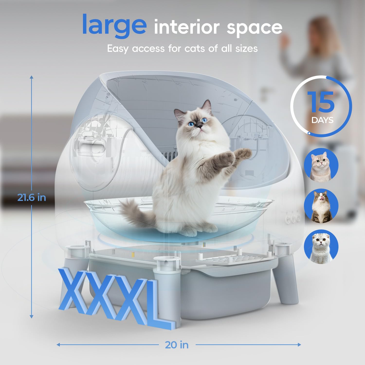 ZeaCotio Open-Top interior view shows barrier-free space.