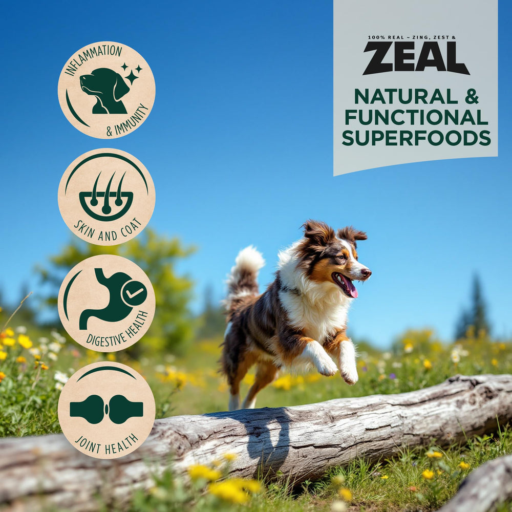 ZEAL Canada air-dried chicken green-lipped mussels closeup signals joint-support potential for active dogs.