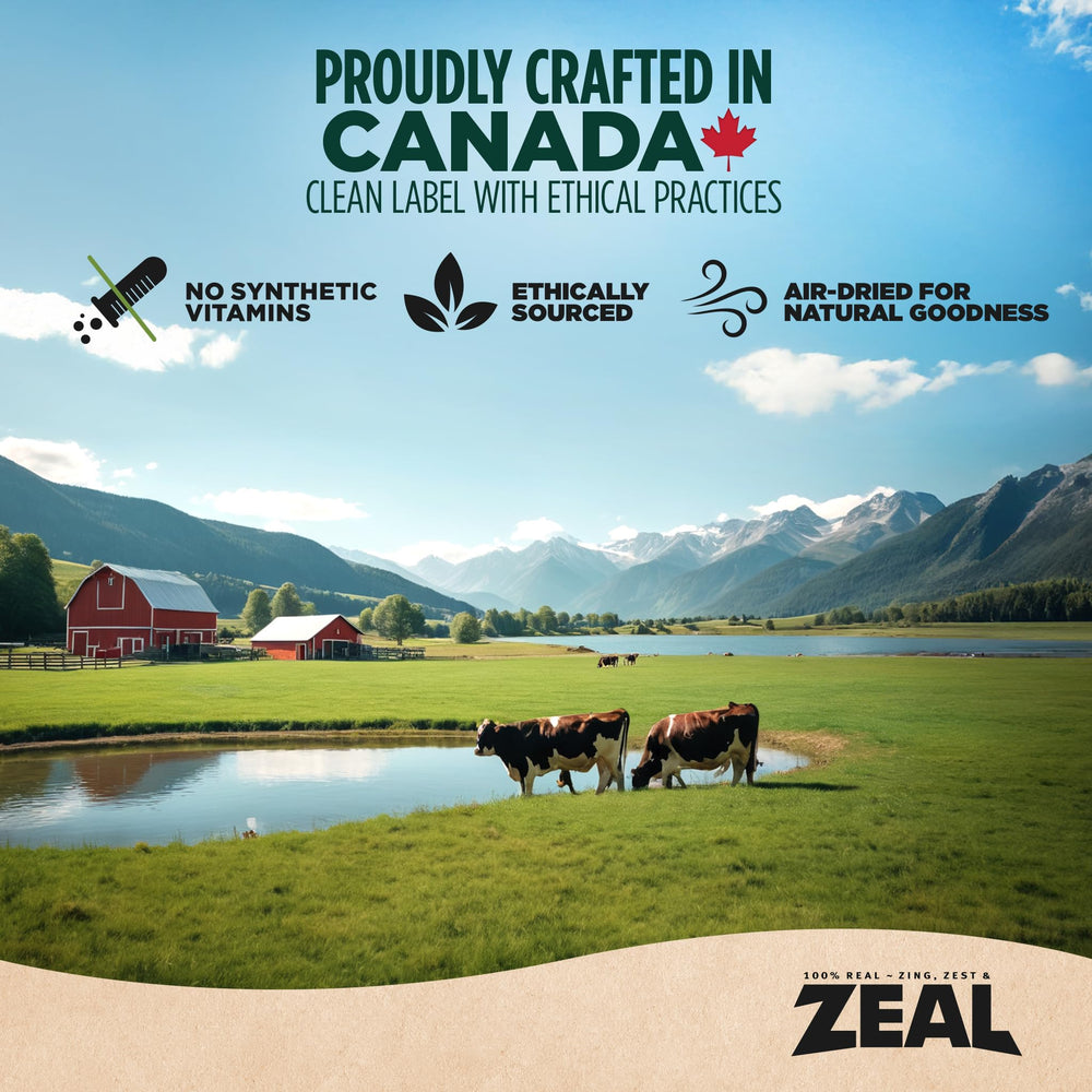 ZEAL Canada air-dried chicken pumpkin blueberries apples closeup emphasizes immune-supporting fruits and veg.