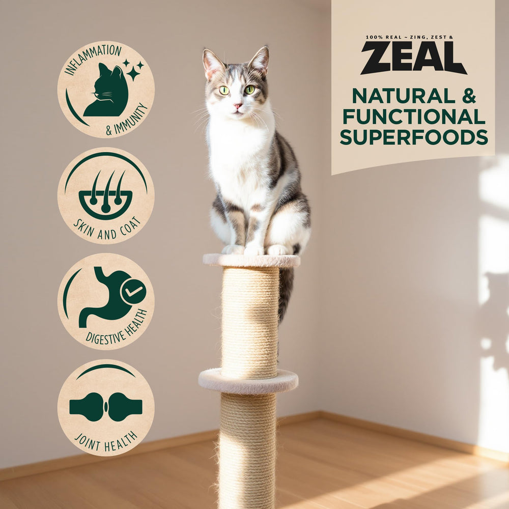 ZEAL Canada vibrant cat enjoying mealtime indicates balanced dual-protein nutrition.
