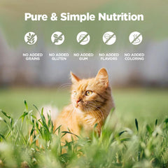 ZEAL ingredients panel emphasizes pure, wholesome formula without artificial additives