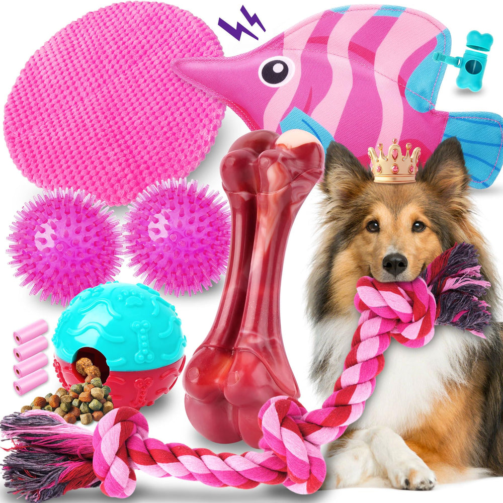 Zeaxuie 12-pack magenta chew toys for long-lasting dog play