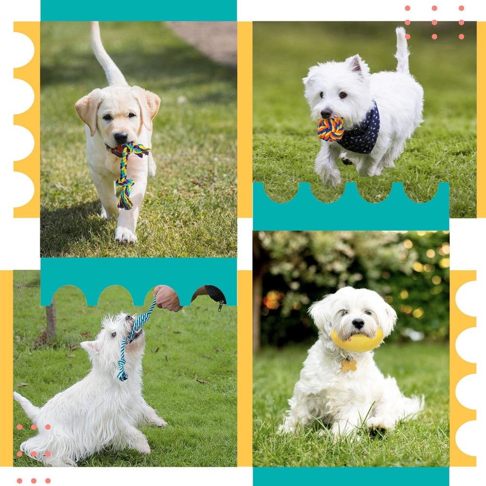 Zeaxuie 23pack offers curated variety for teething and training goals.