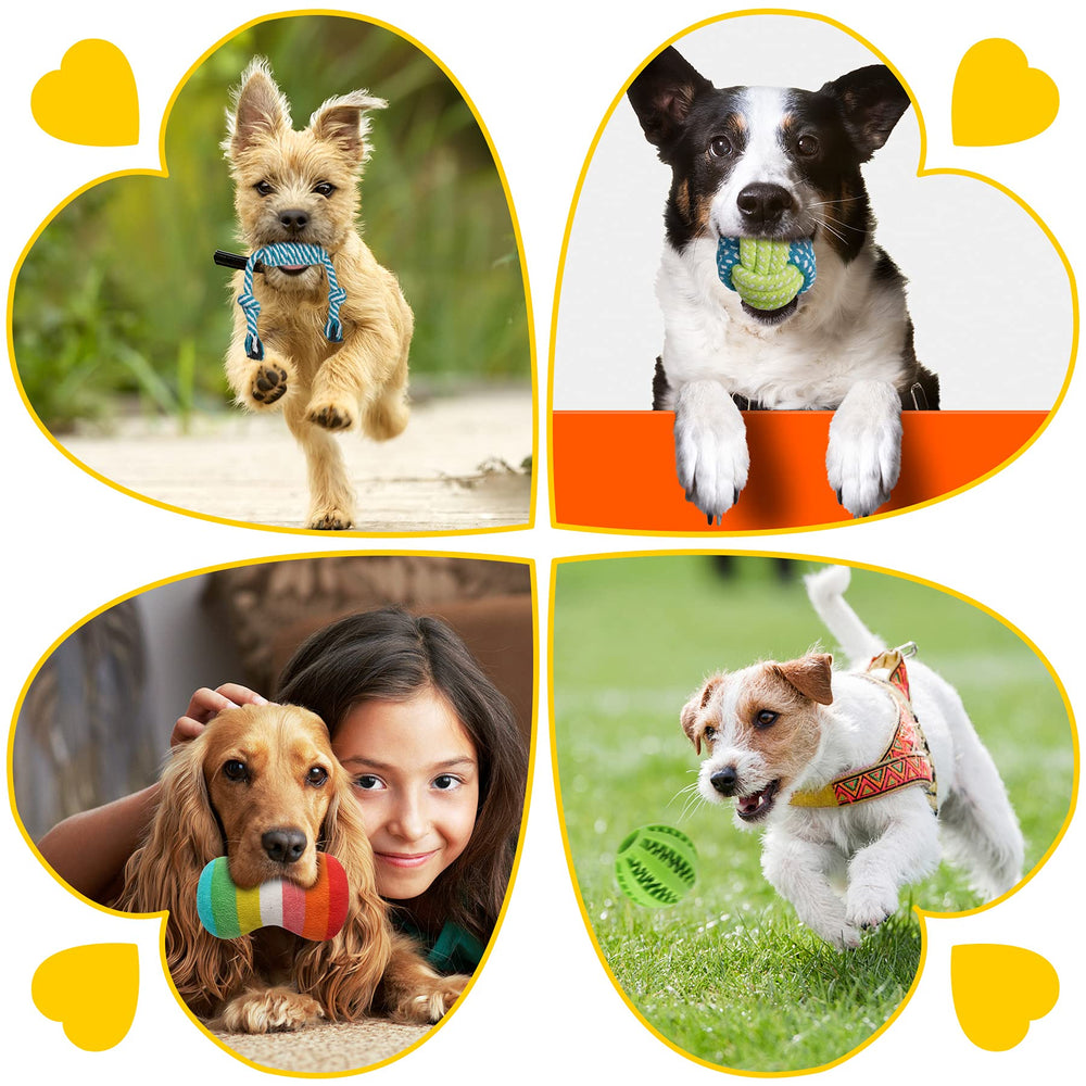 Zeaxuie 25-pack set with varied textures supports interactive play and bonding