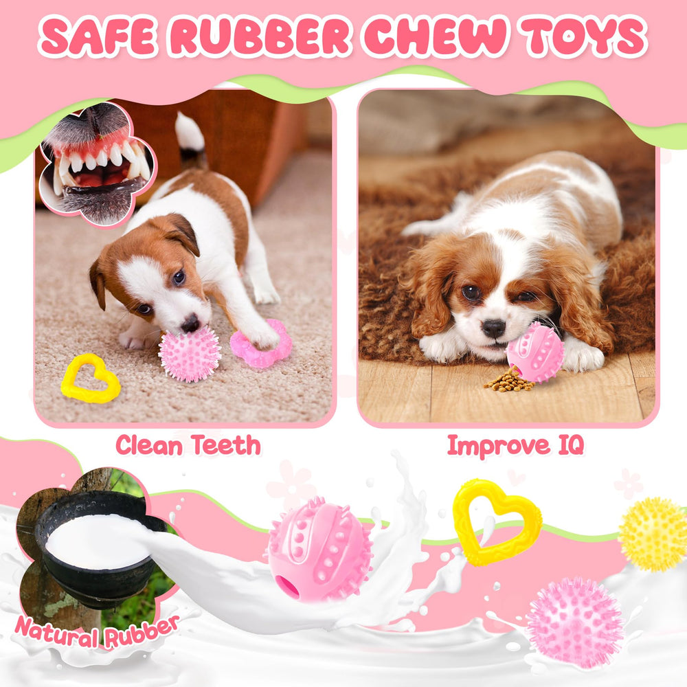 Zeaxuie dog bags and holder for quick cleanup and storage