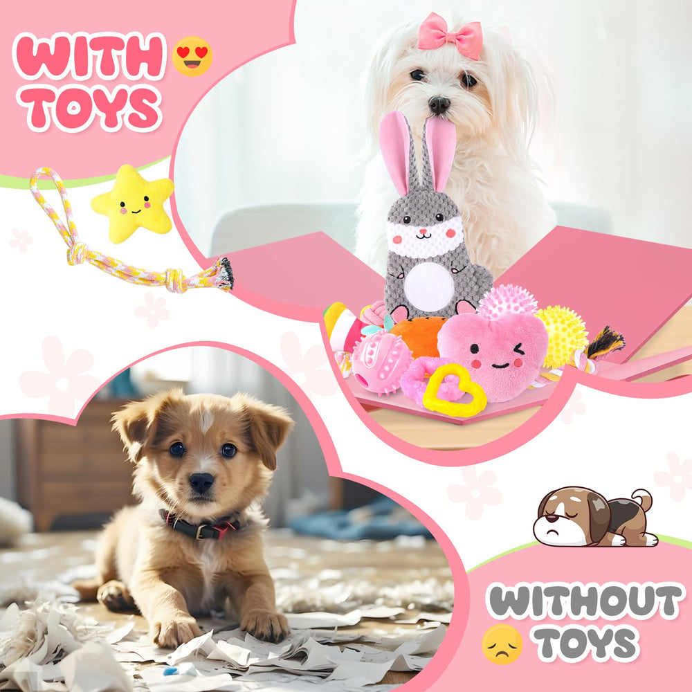 Zeaxuie packaging image showing full 23-pack set