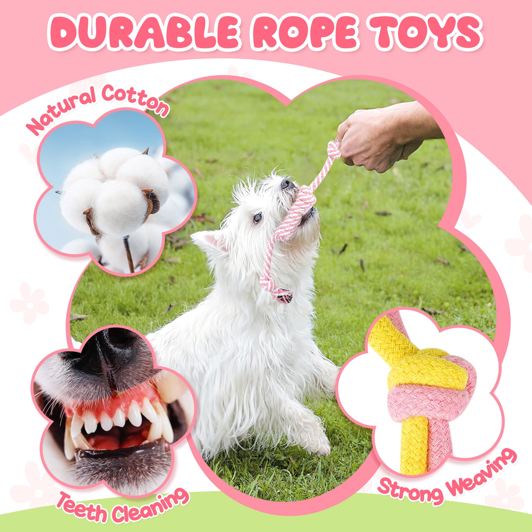 Zeaxuie treat ball for intellectual play and treat rewards