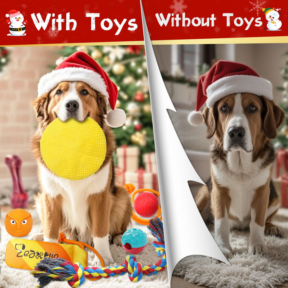 Zeaxuie Tug Ball Toy: bite-resistant ball for fetch and stamina-building play.