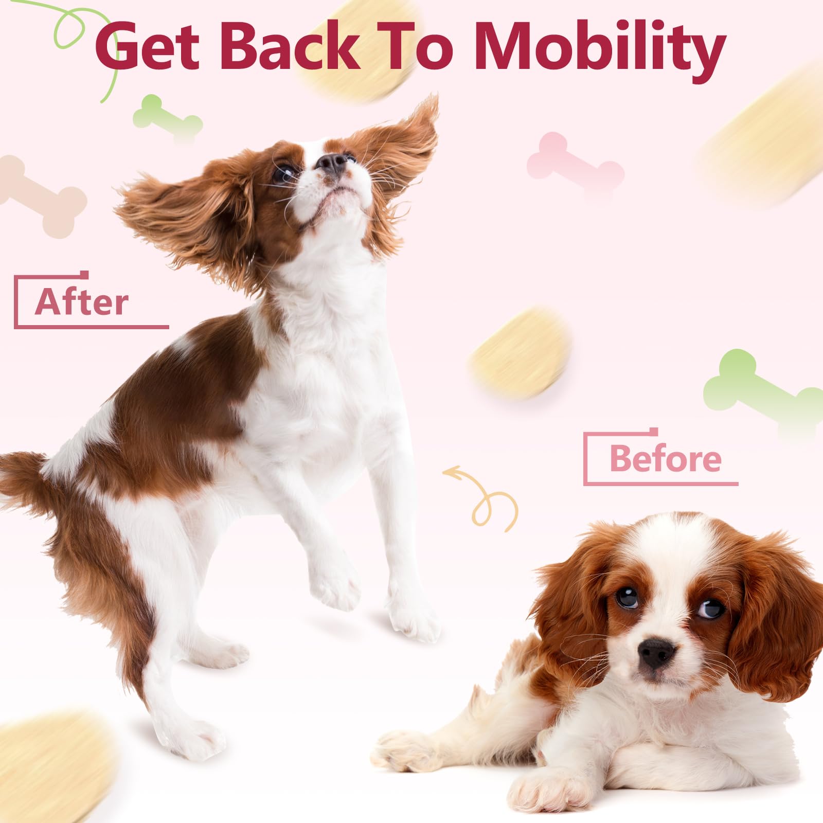 ZEBORA 120 chews package demonstrates long-lasting joint support for dogs