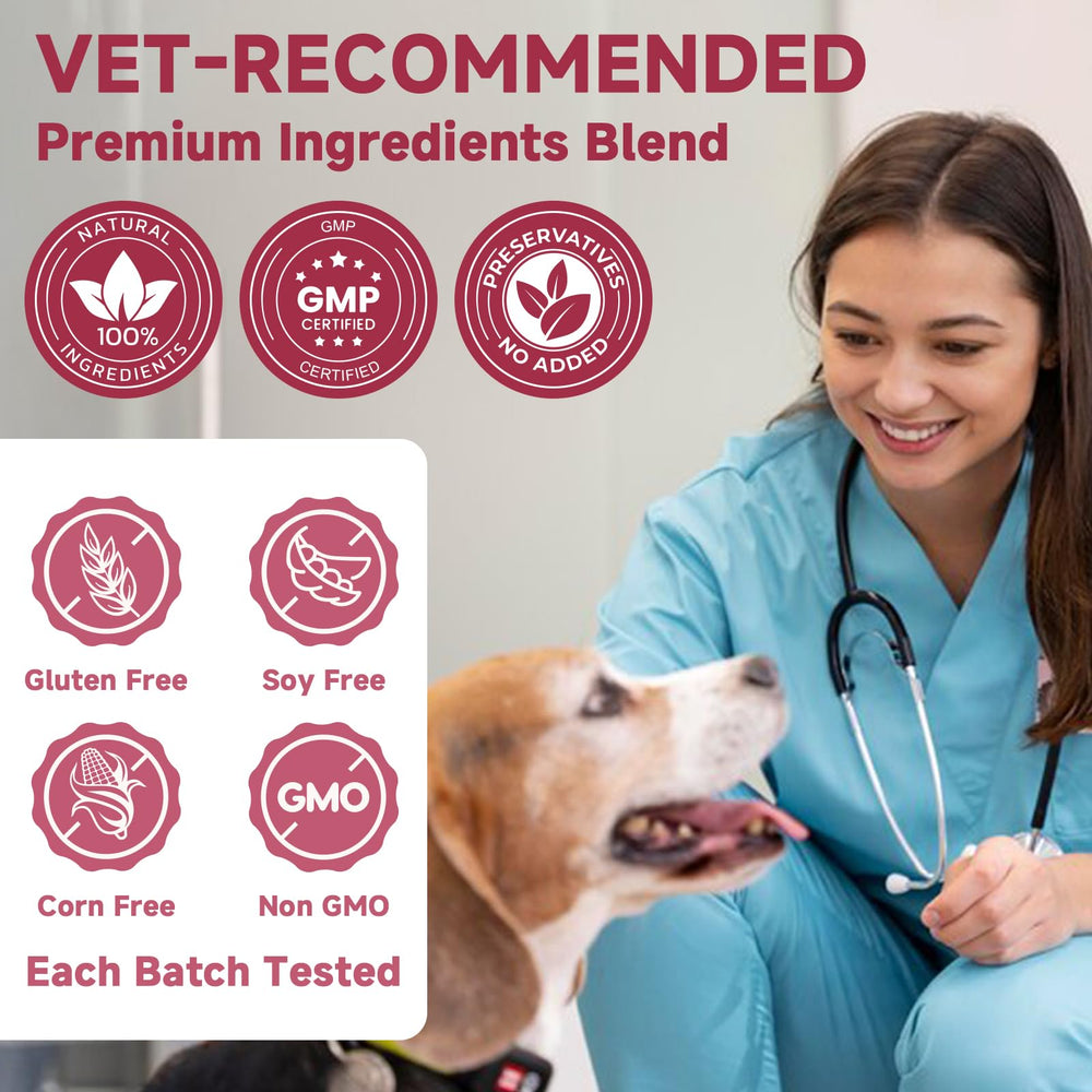 ZEBORA 180 chews packaging symbolizing long-term joint care for multiple dogs