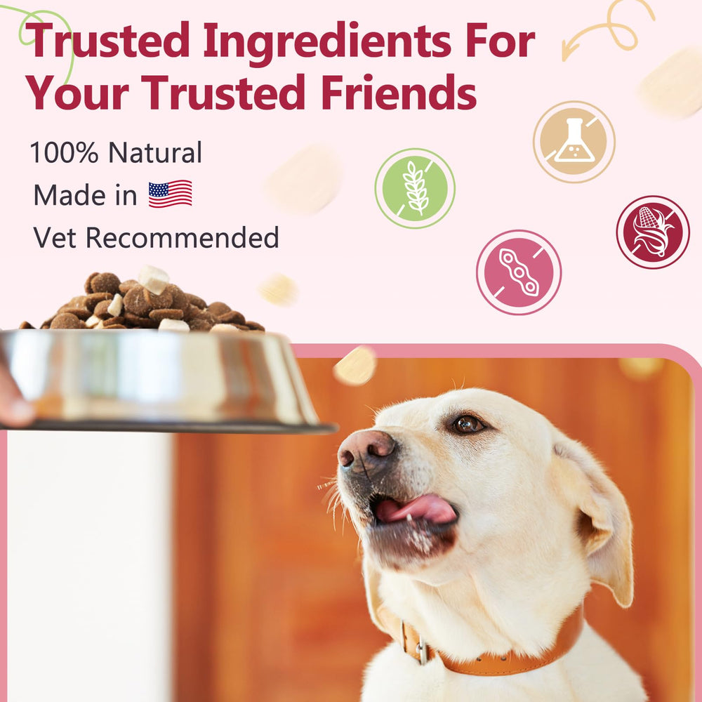 ZEBORA digestive health dog treats highlight enzymes and minerals for gut support