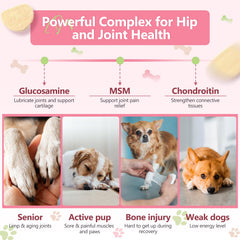 ZEBORA glucosamine dog chews close-up highlights ingredients for joint health and coat shine